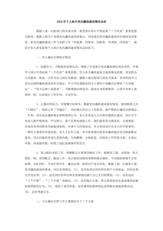2025年个人执行党风廉政建设情况总结