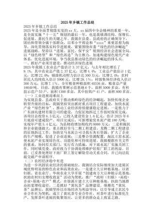 2025年乡镇工作总结-精品范文资料