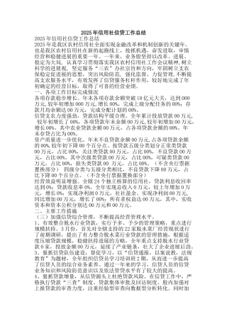 2025年信用社信贷工作总结-精品范文资料