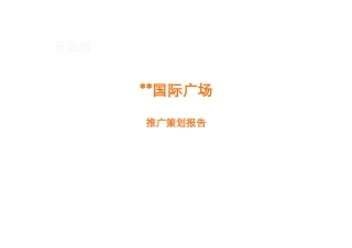 2025年南京市某大型商业国际广场项目推广策划报告