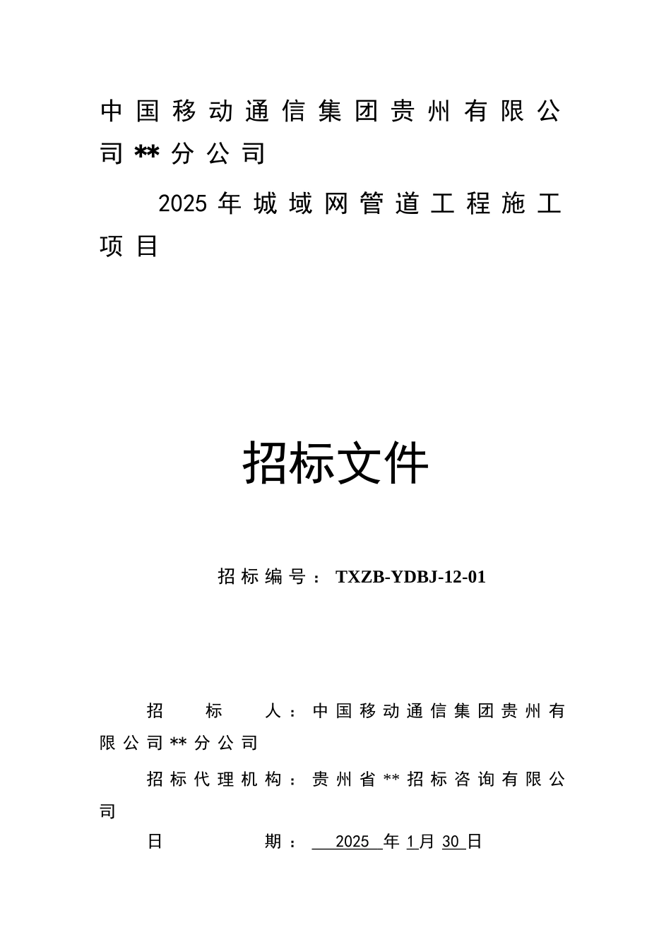 2025年城域网管道工程施工项目招标文件_第1页