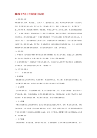 2025年大班上半年班级工作计划