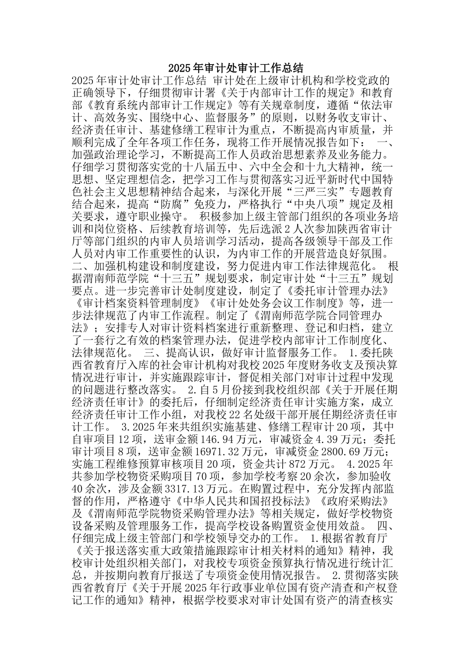 2025年审计处审计工作总结_第1页