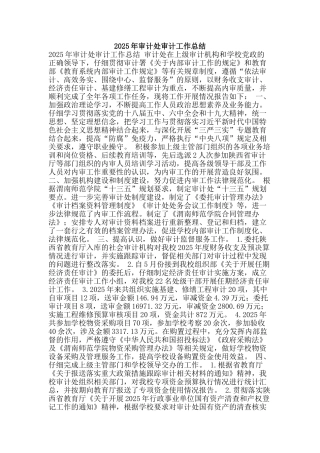 2025年审计处审计工作总结