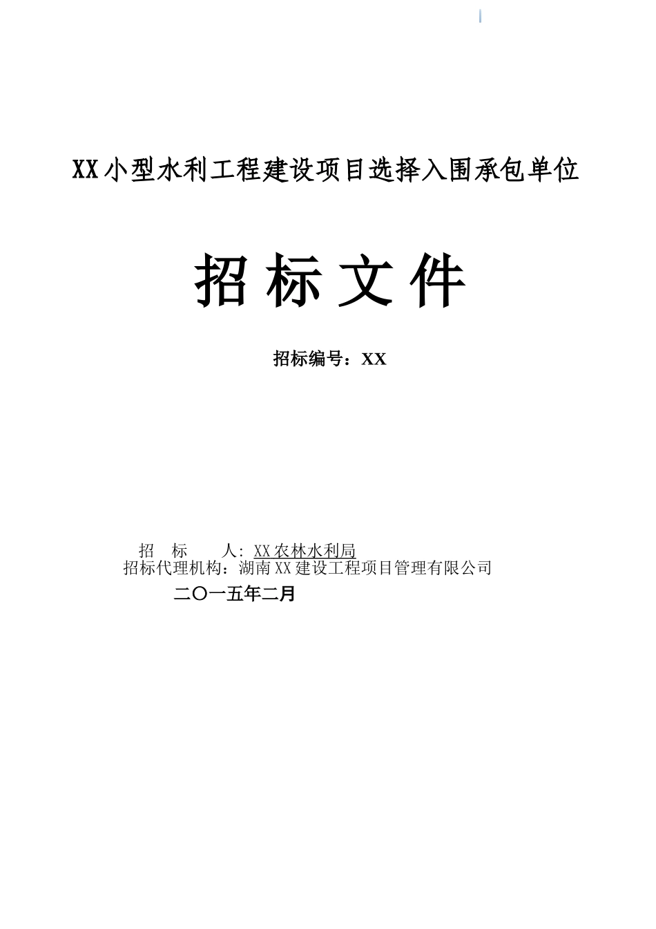 2025年小型水利工程建设项目招标文件_第1页