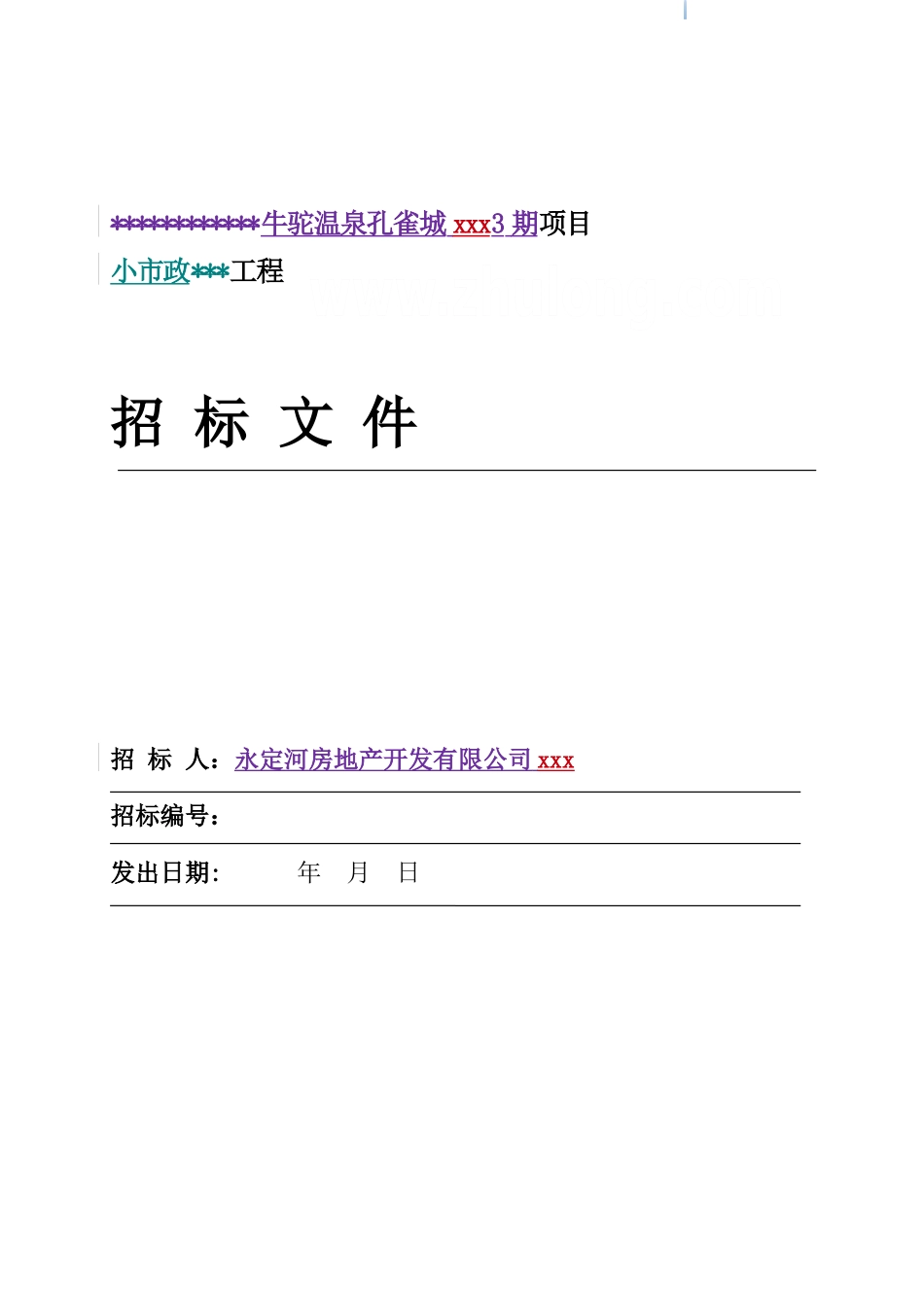 2025年居住项目市政工程招标文件_第1页