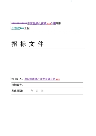 2025年居住项目市政工程招标文件