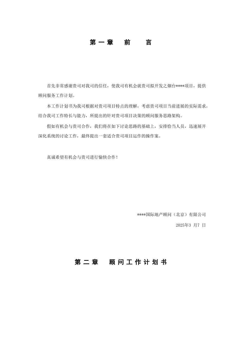2025年山东烟台某商业地产项目顾问工作计划书_第3页