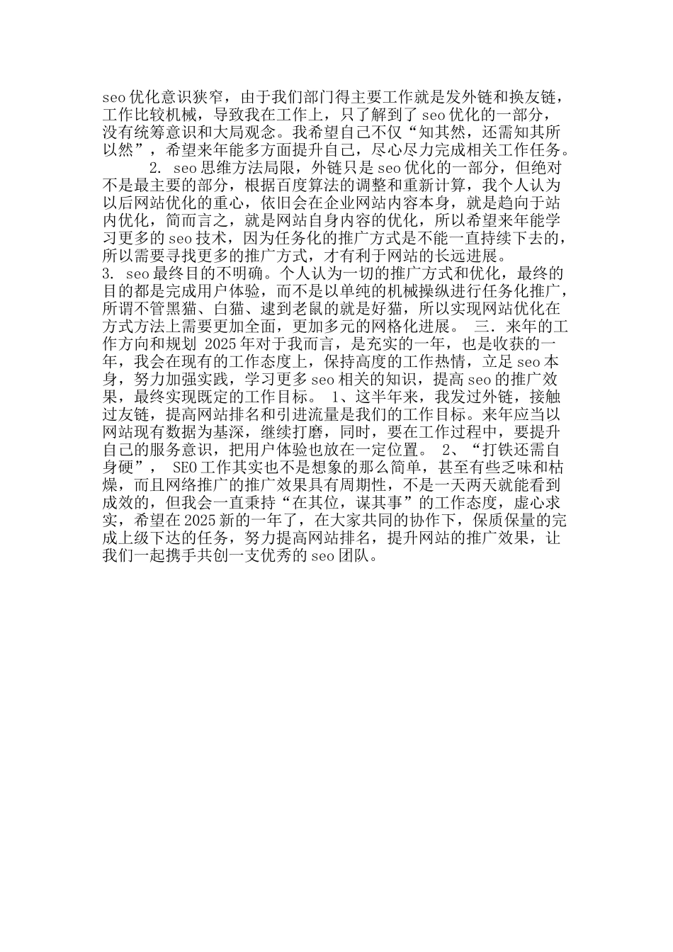 2025年度seo年终工作总结_第2页