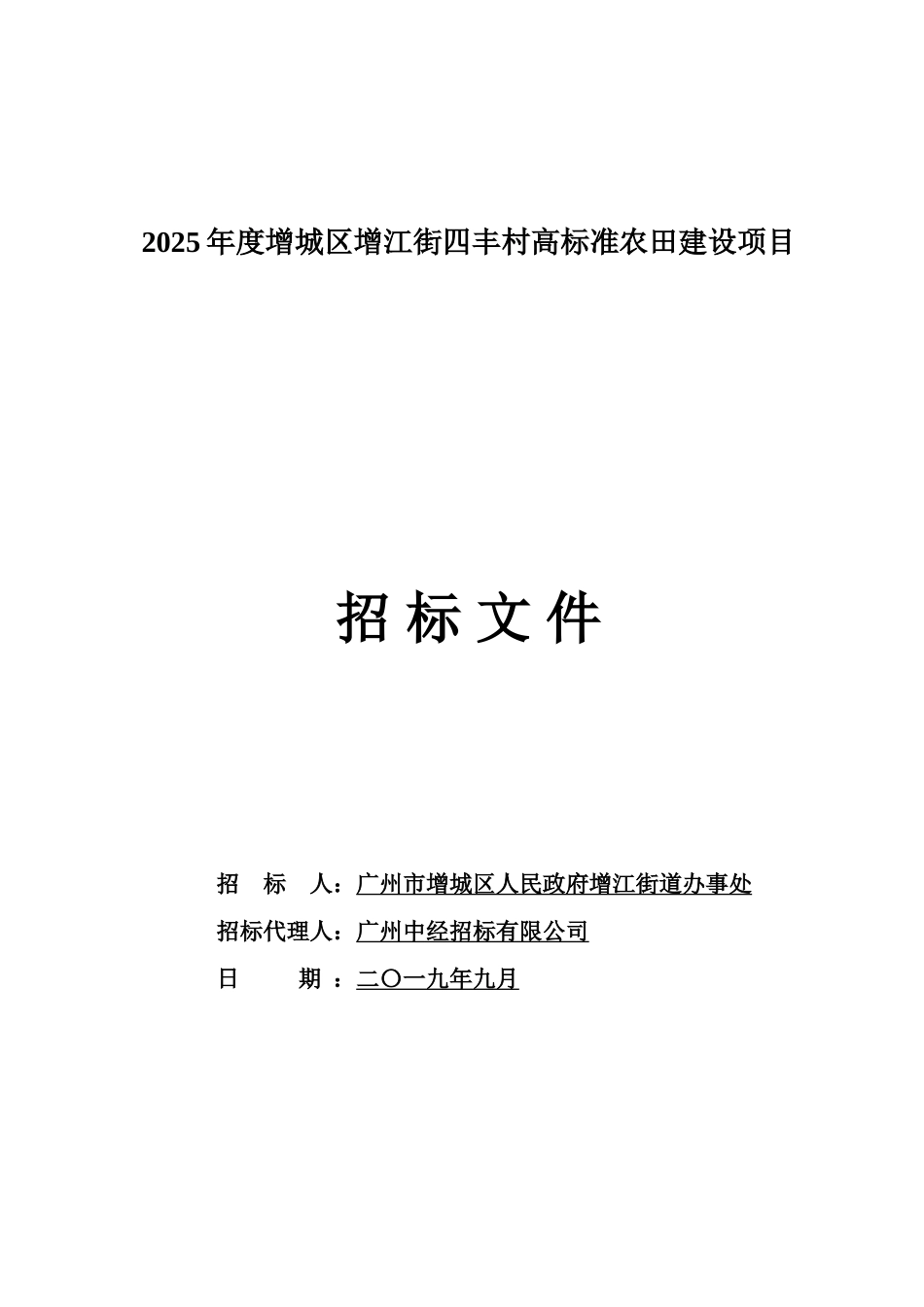 2025年度高标准农田建设项目招标文件_第1页