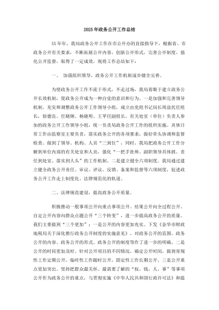 2025年政务公开工作总结