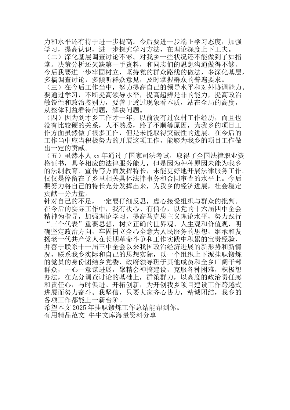 2025年挂职锻炼工作总结-精品范文资料_第2页