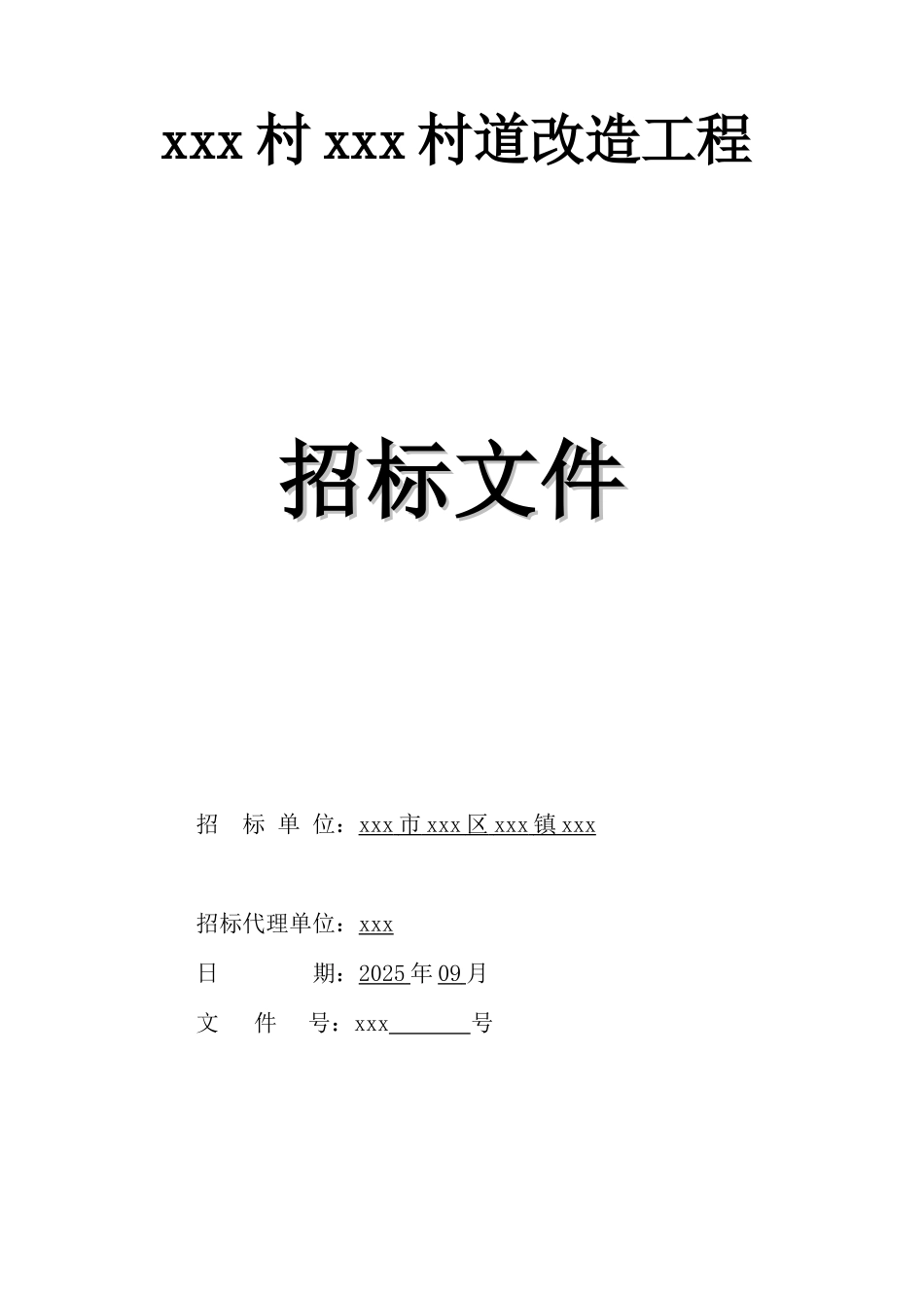 2025年村道改造工程招标文件_第1页