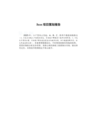 2025年某市某小户型项目策划报告