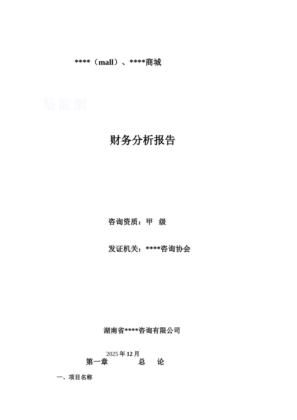 2025年湖南某大型购物中心项目财务分析报告_第1页