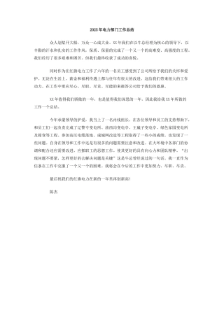 2025年电力部门工作总结