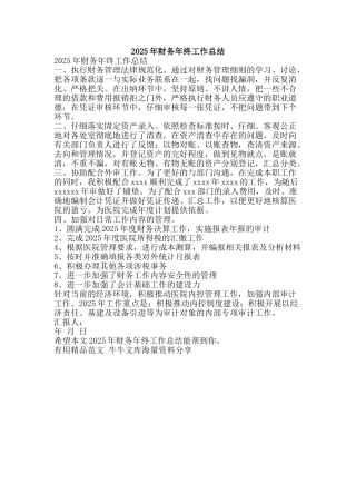 2025年财务年终工作总结-精品范文资料