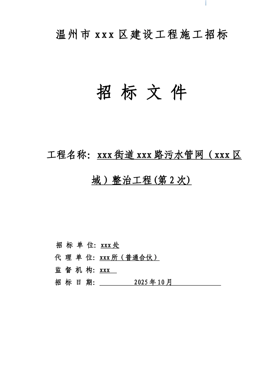 2025年道路污水管网整治工程招标文件_第1页
