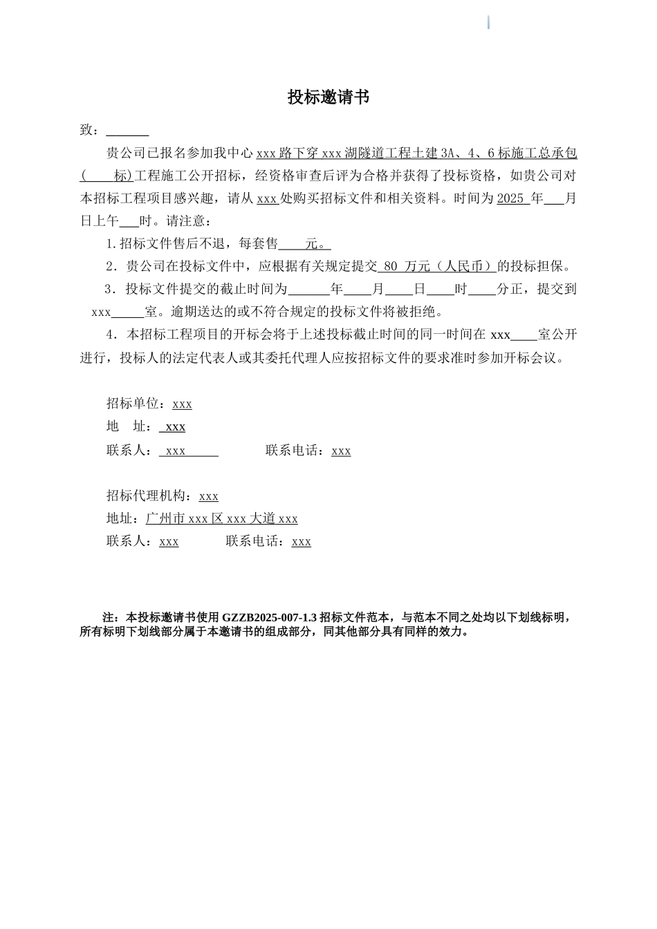 2025年道路隧道土建工程招标文件_第3页