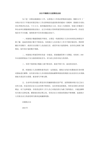 2025年镇统计自查情况总结