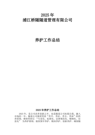 2025年隧道公司养护工作总结