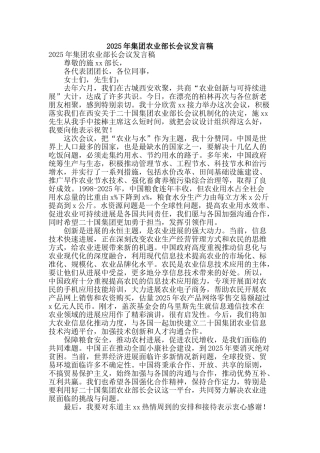 2025年集团农业部长会议发言稿