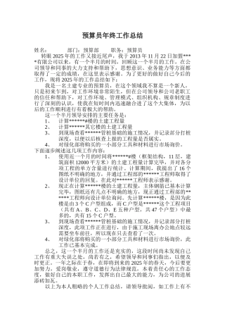 2025年预算员年终工作总结