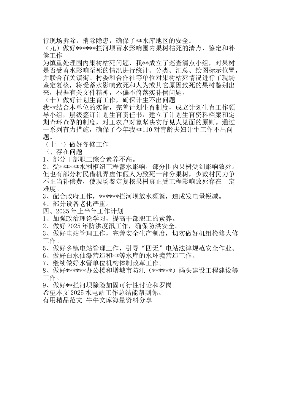 2025水电站工作总结-精品范文资料_第2页