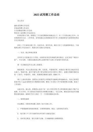 2025试用期工作总结