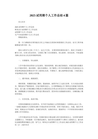 2025试用期个人工作总结4篇
