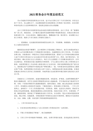 2025财务会计年度总结范文