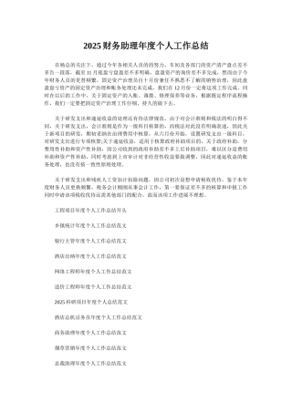 2025财务助理年度个人工作总结