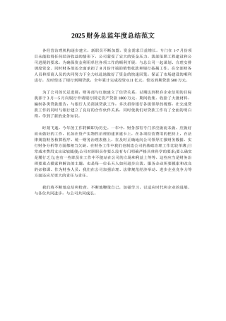 2025财务总监年度总结范文