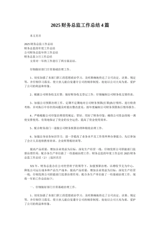 2025财务总监工作总结4篇
