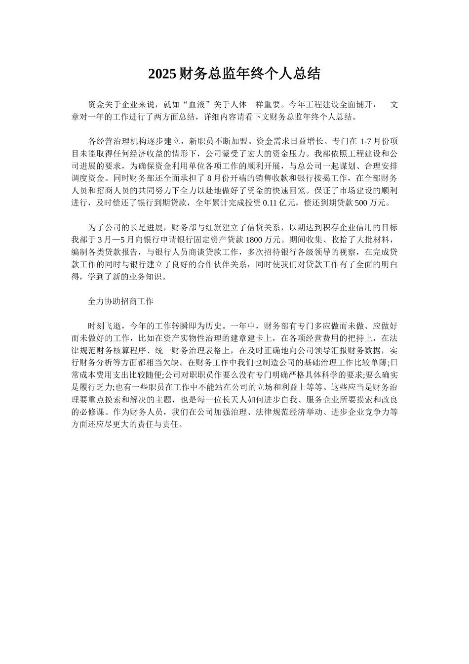 2025财务总监年终个人总结_第1页