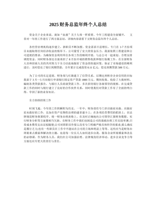 2025财务总监年终个人总结
