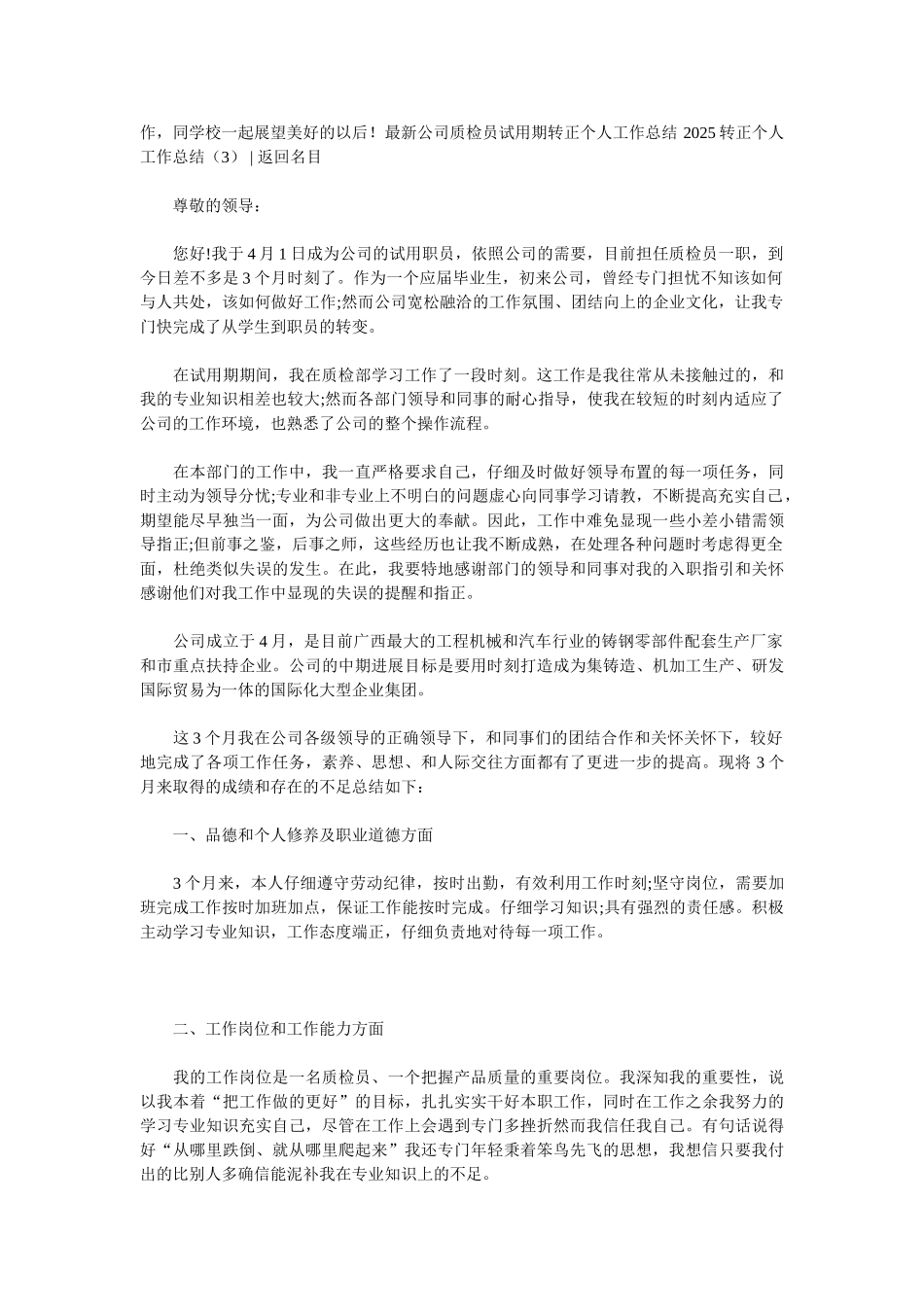 2025转正个人工作总结4篇_第3页
