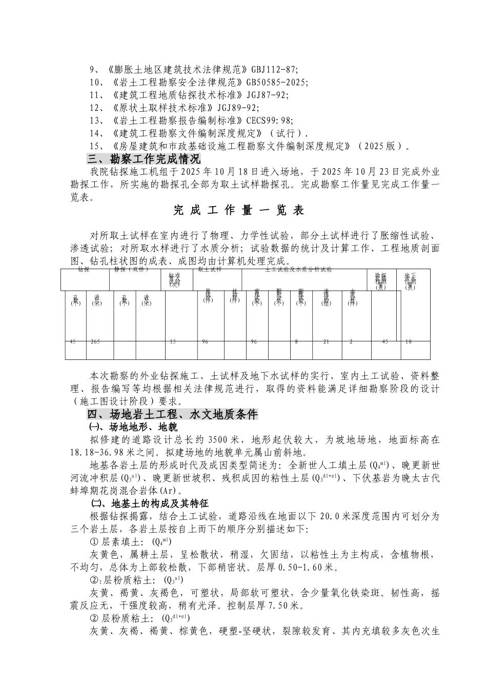 2025进园路道路工程_第2页