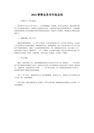 2025销售业务员年底总结