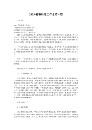 2025销售助理工作总结4篇