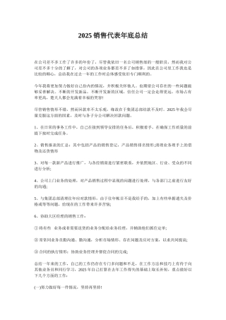 2025销售代表年底总结