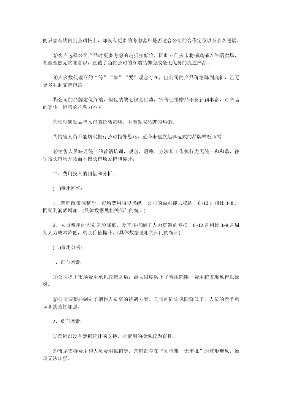 2025销售总监工作总结3篇_第2页