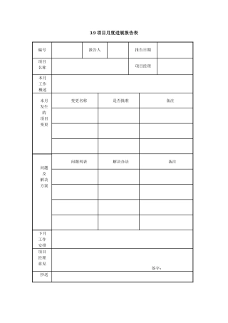 3.9-项目月度进展报告表