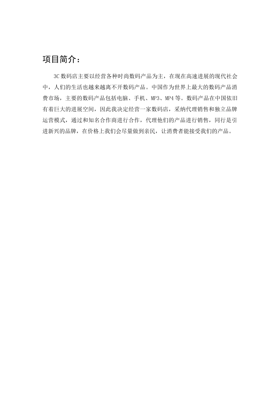 3C数码店创业计划书_第2页