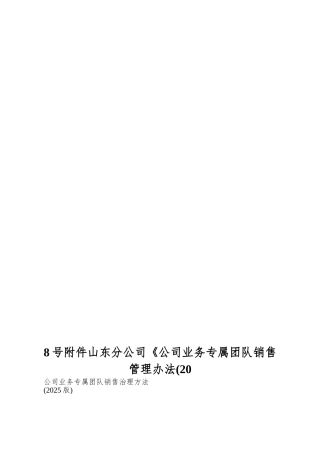 8号附件山东分公司《公司业务专属团队销售管理办法(20