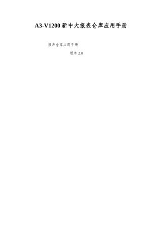 A3-V1200新中大报表仓库应用手册