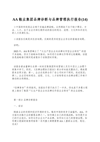 AA鞋业集团品牌诊断与品牌管理执行报告(14)