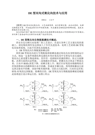 de型双沟氧化技术与应用