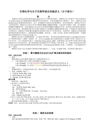 DNA重组与蛋白质分析讲义-354204971