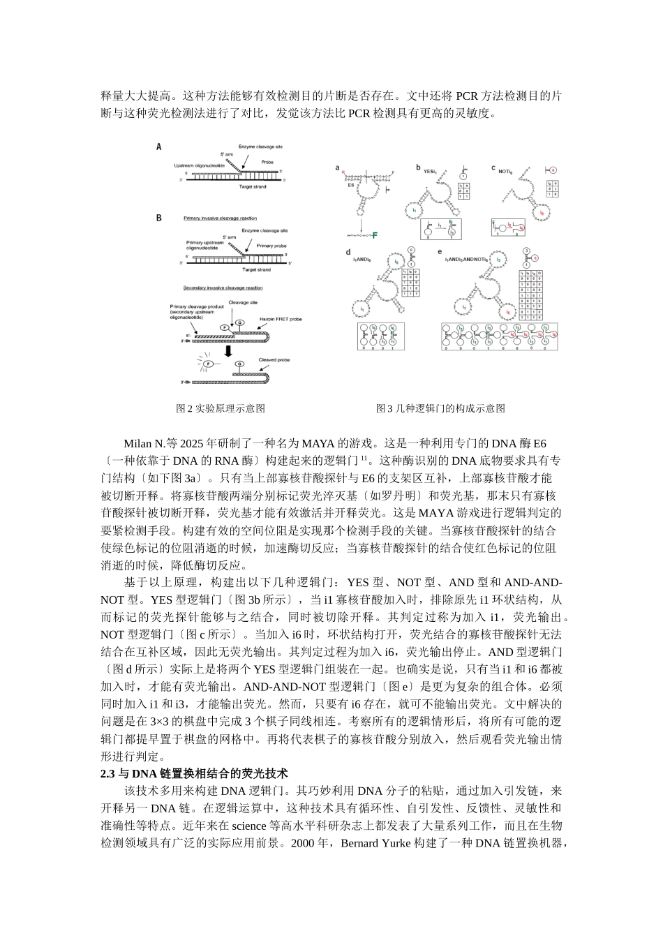 DNA计算中荧光技术的应用及其发展_第3页